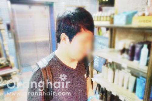 헤어스칼렛 이미지