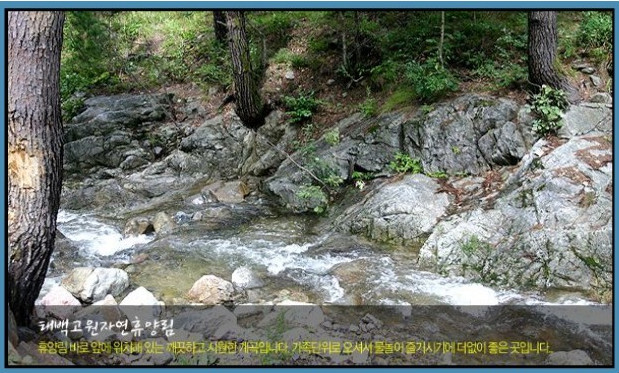 태백고원자연휴양림 이미지