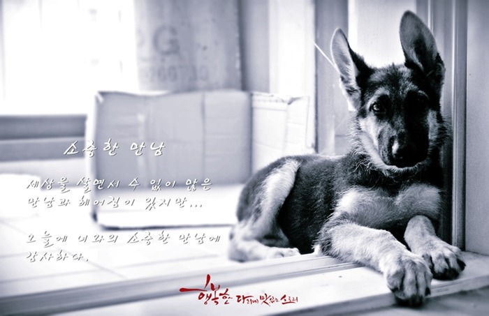 가비야 이미지