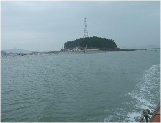 지금바다타운 이미지