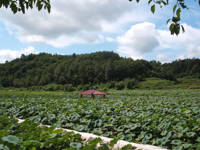 우리방 이미지