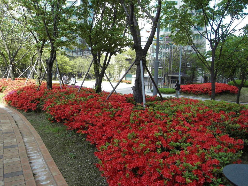 삼성조경 이미지
