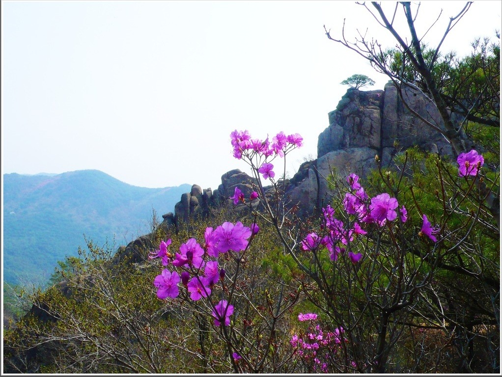 화왕산 이미지