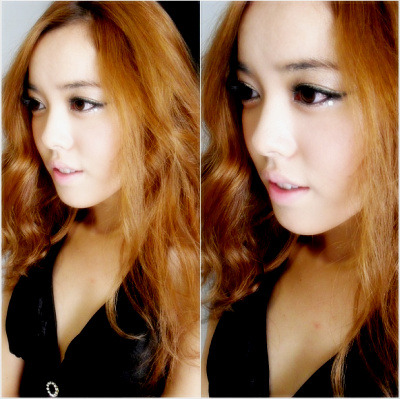 FM승마장 이미지