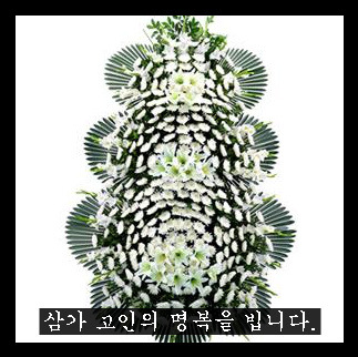 야탑동 351 (분당차병원) 이미지