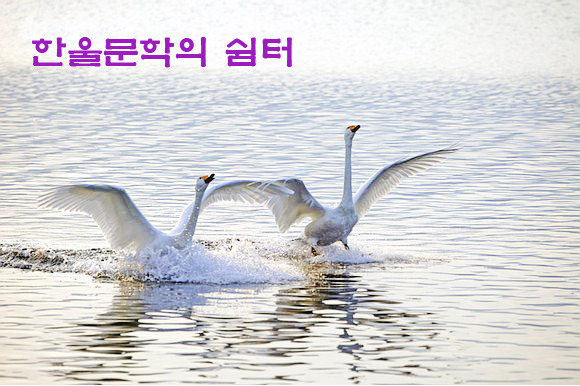 사단법인 한국문화예술진흥회 이미지