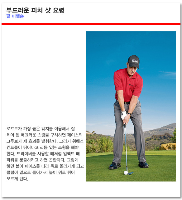 피치 이미지