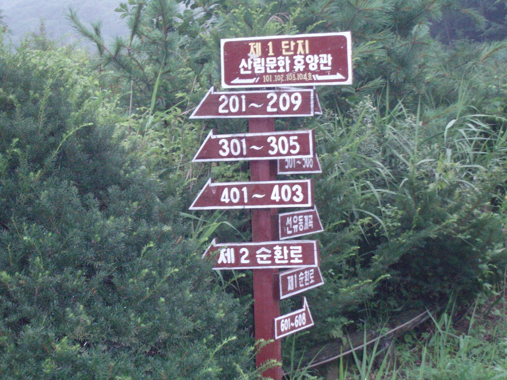 횡성자연휴양림 이미지