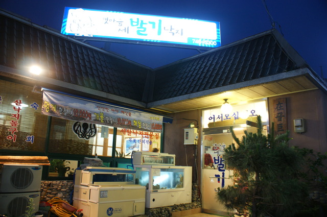 갯마을낙지 이미지