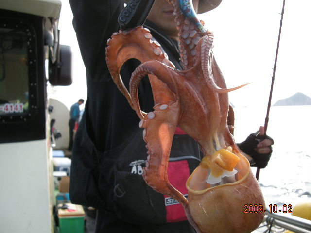 서해피싱호 이미지