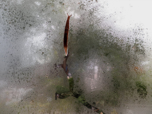 그린그림 이미지