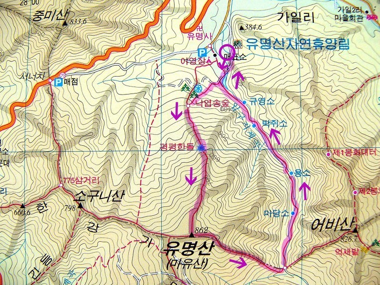 유명산 이미지