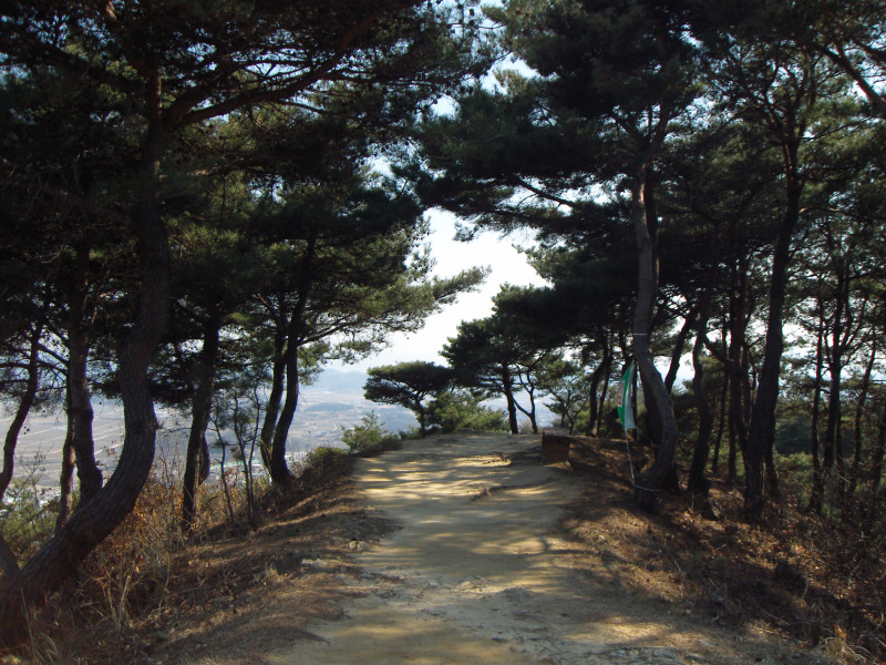 돈달산 이미지