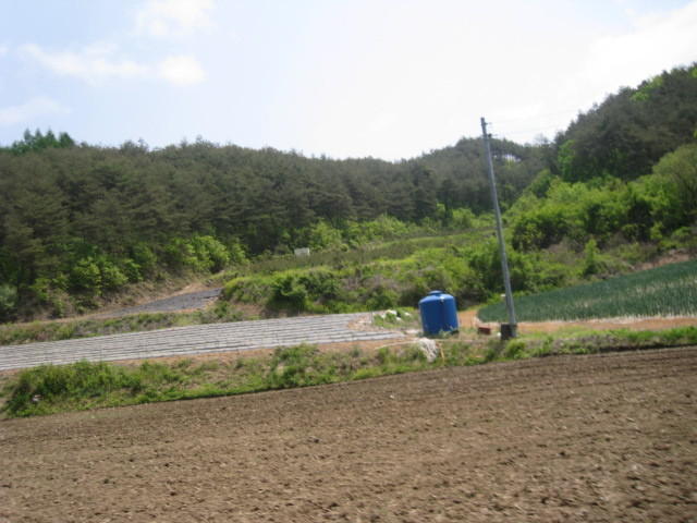 상운초등학교 이미지