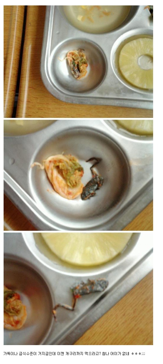 개구리반찬 이미지