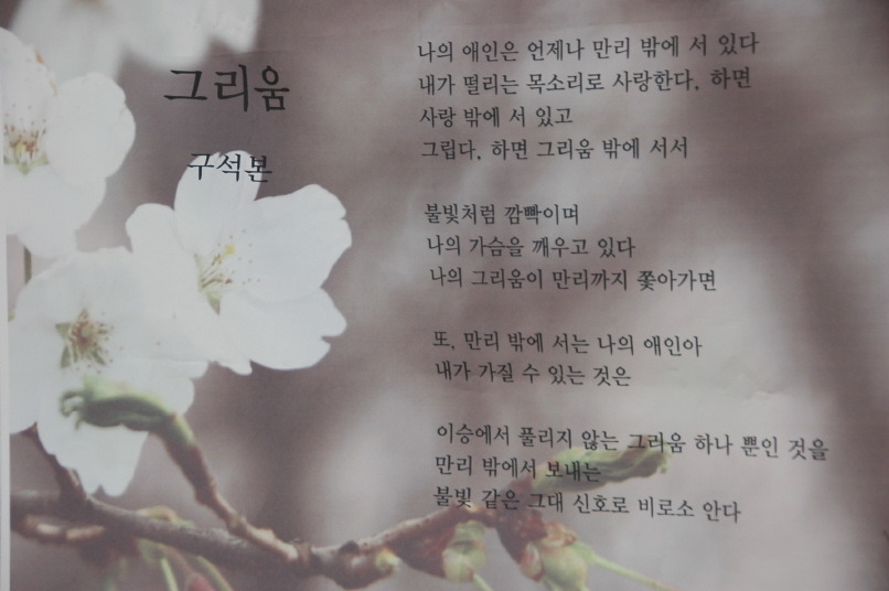 달비골 이미지