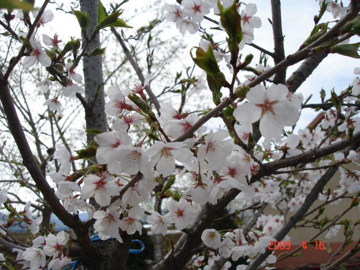 덕산방 이미지