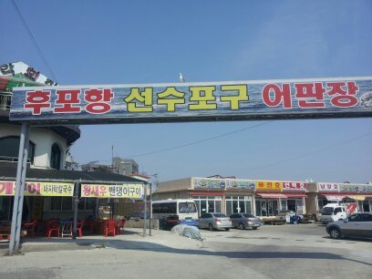강화밴댕이 이미지