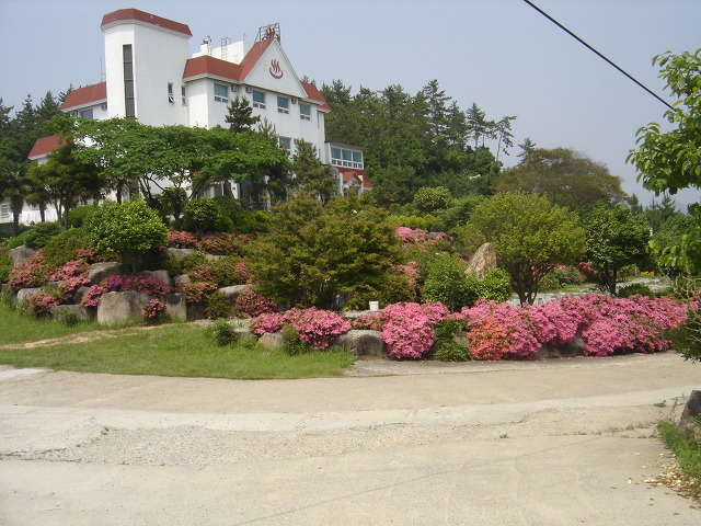 산호모텔 이미지