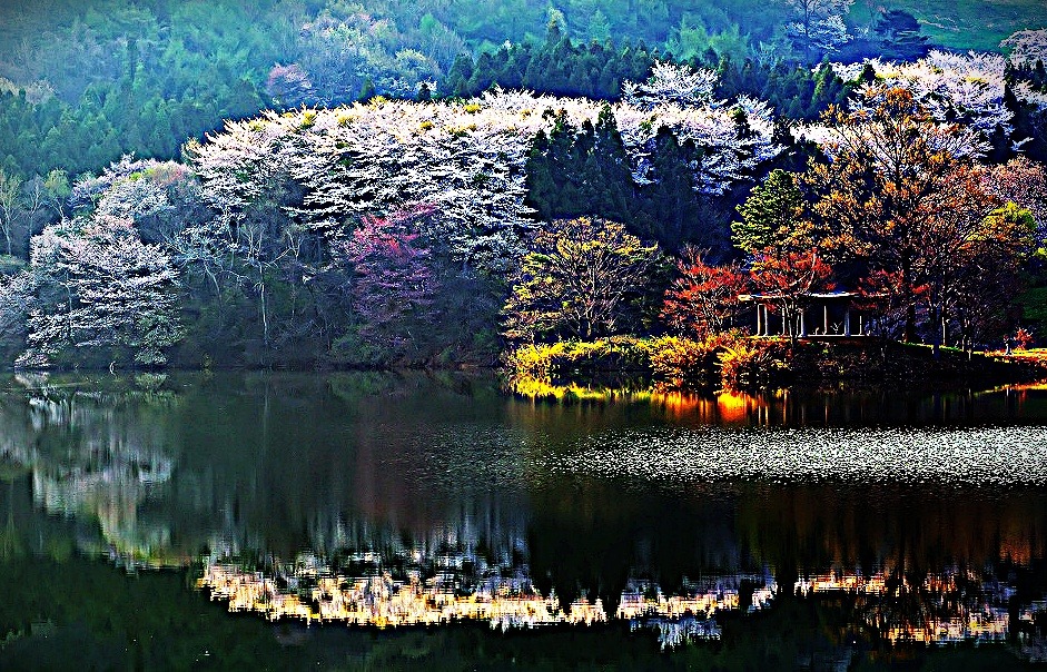 운산주유소 이미지