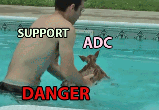 LOL 서폿할때 보는 우리 원딜.gif | 인스티즈