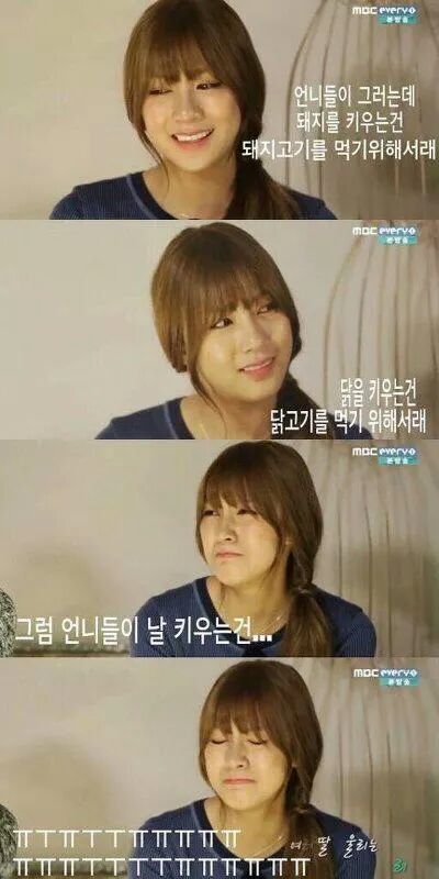 에이핑크 완전한사육 | 인스티즈