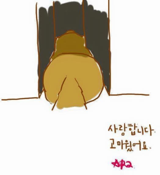 개가 늙어죽을 때 어떻게 죽는지 아니? | 인스티즈