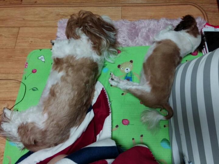 연화수퍼 이미지