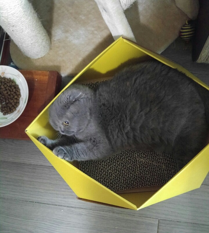 엠박스 이미지