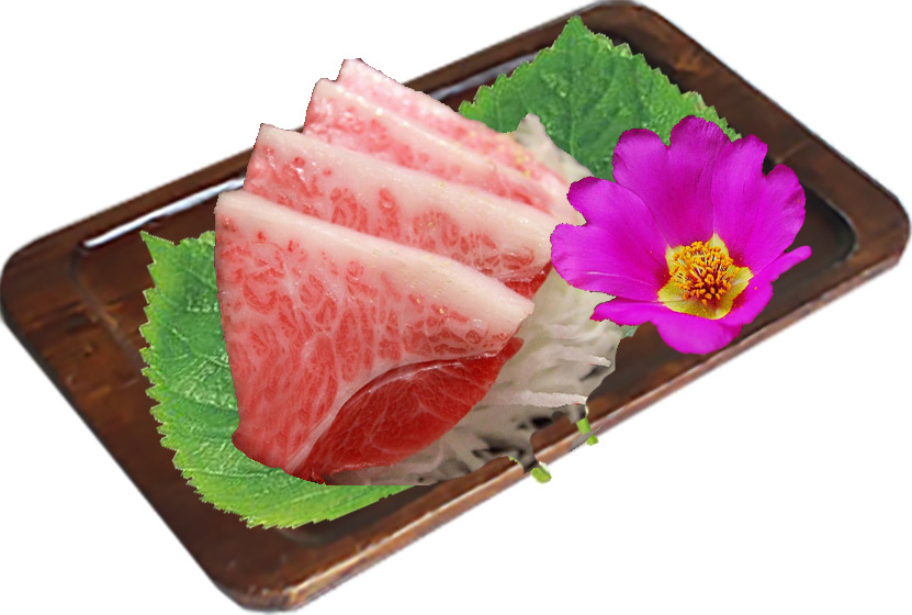 참치어화 이미지