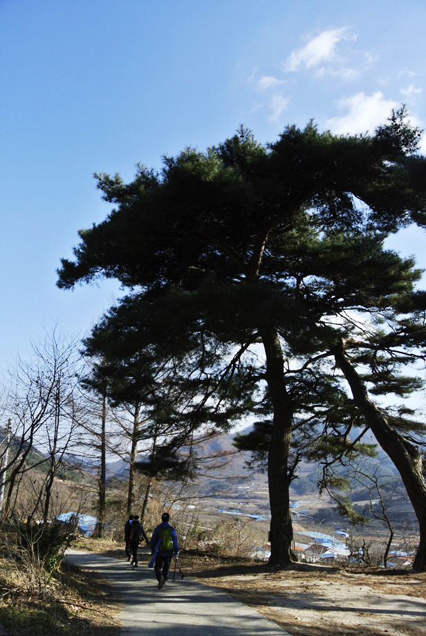 마리의봄날 이미지