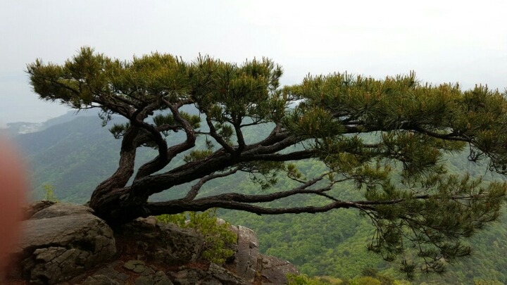 가지산농원 이미지