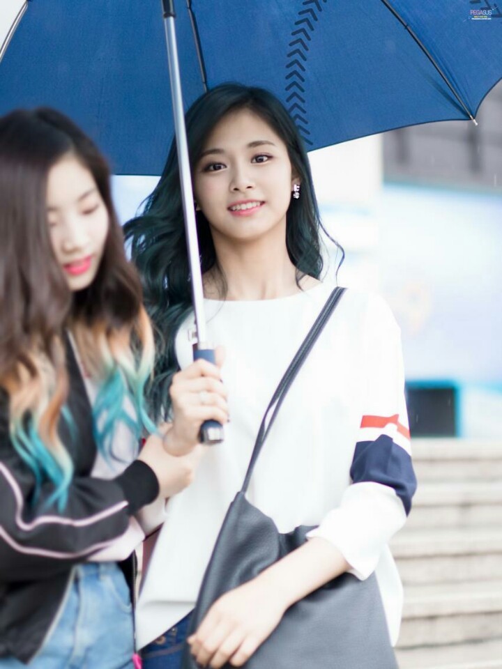 [트와이스] 오늘 생일이라는 쯔위 레전드사진 모음 | 인스티즈
