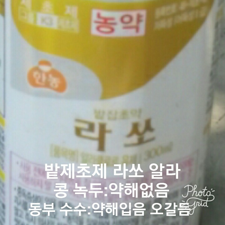 라쏘 이미지