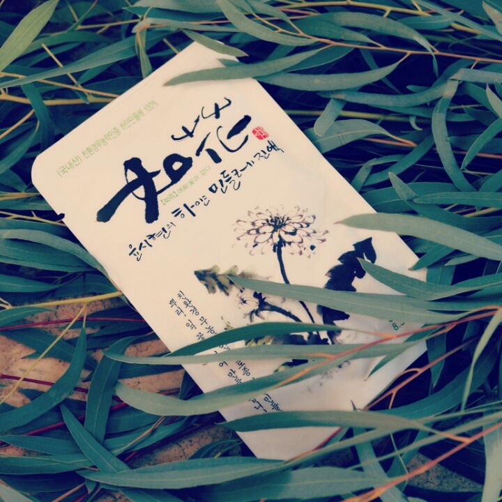 민들레친환경 이미지