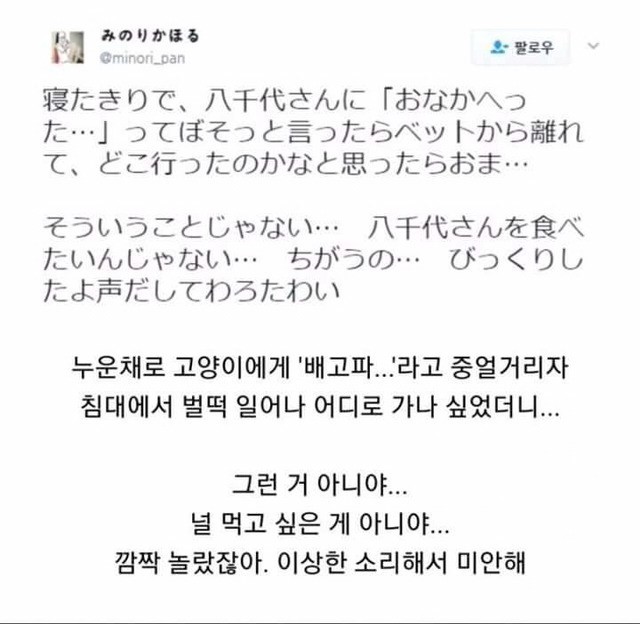 고양이에게 배고프다고했더니.jpg | 인스티즈