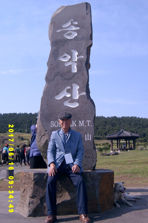 제주화석박물관 이미지