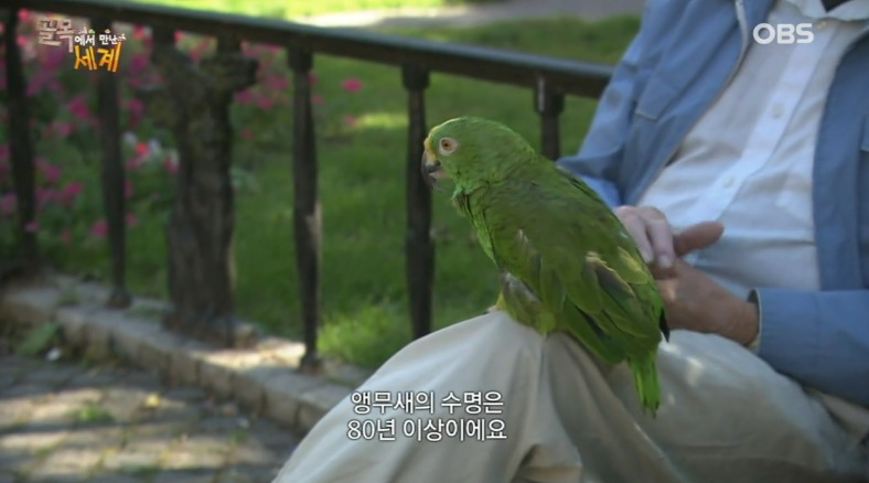 스웨덴 사람들의 평범한 일상 (개지루함 주의......) | 인스티즈