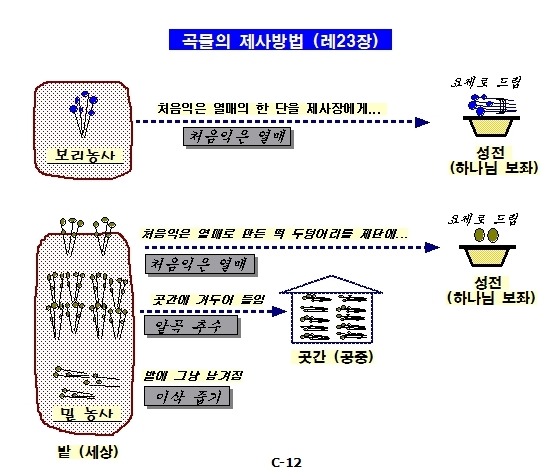 장차이나 이미지