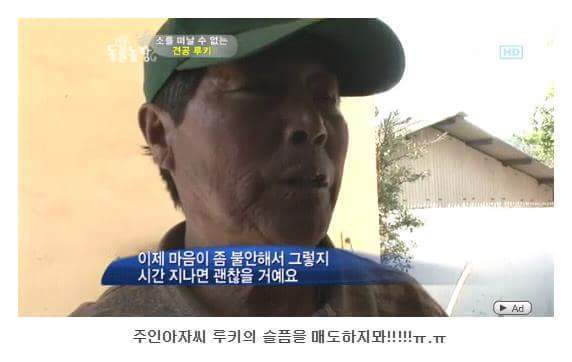 의리빼면 시체인 강아지 | 인스티즈