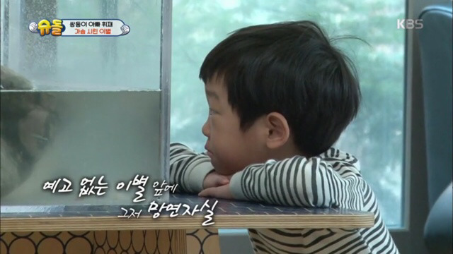 돌돌이와의 이별에 마음이 아픈 서준이 (맴찢주의.. ㅠㅠ) | 인스티즈