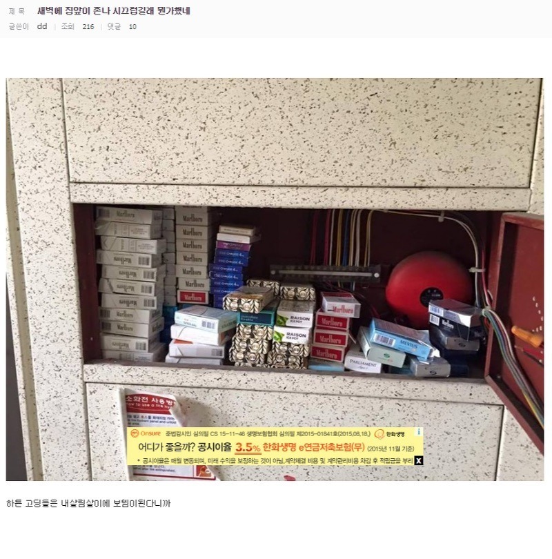하여튼 고딩들 | 인스티즈