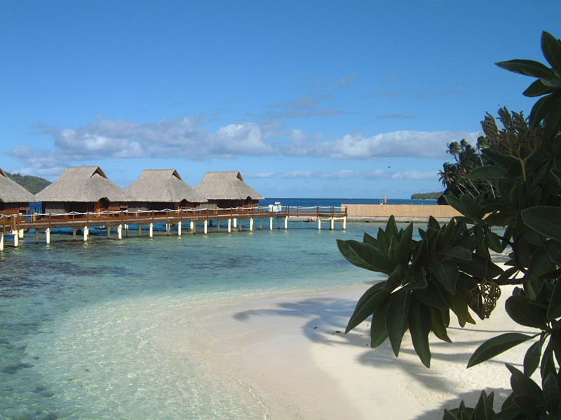 2204AF3858872DC7331380