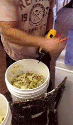 사과 이쁘게 깎는 방법 | 인스티즈