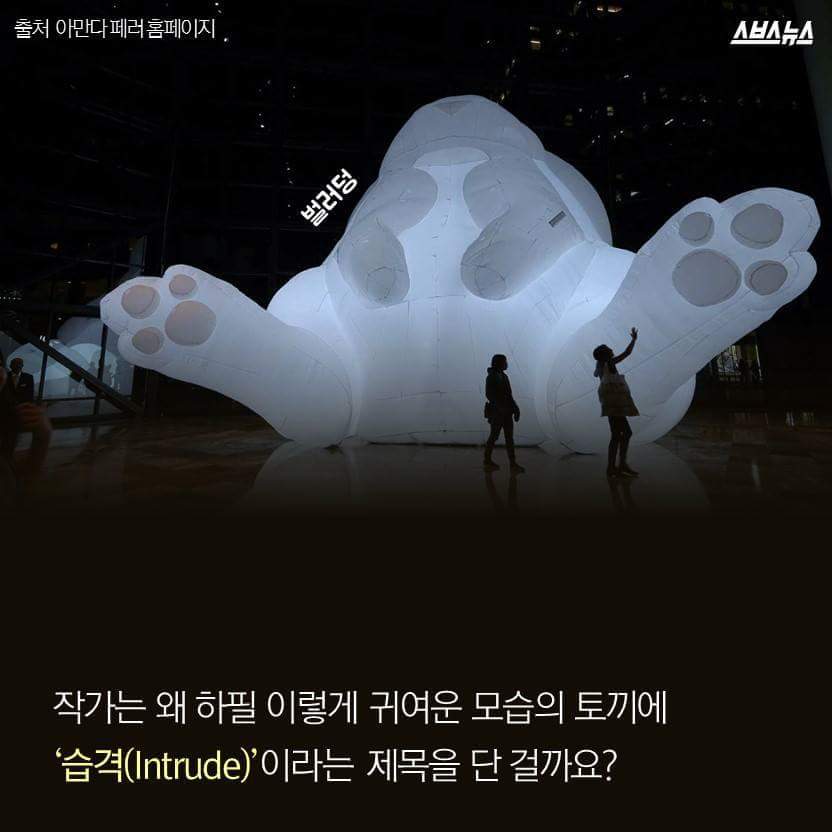 한국을 습격한 거대 토끼 | 인스티즈