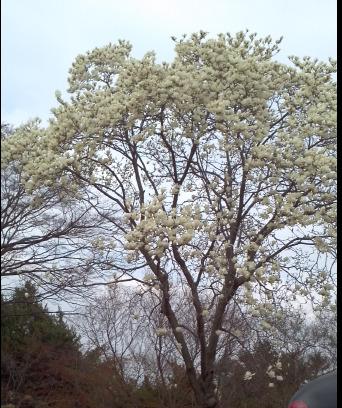 앞산공원 이미지