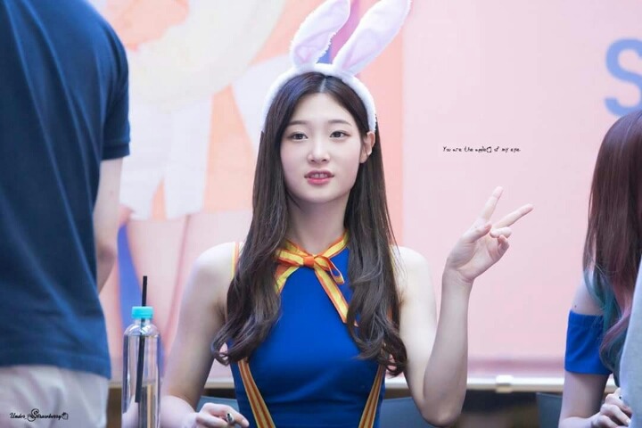 토끼 채연이 | 인스티즈
