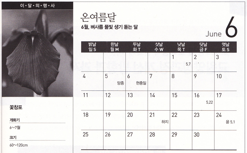 온여름달 이미지