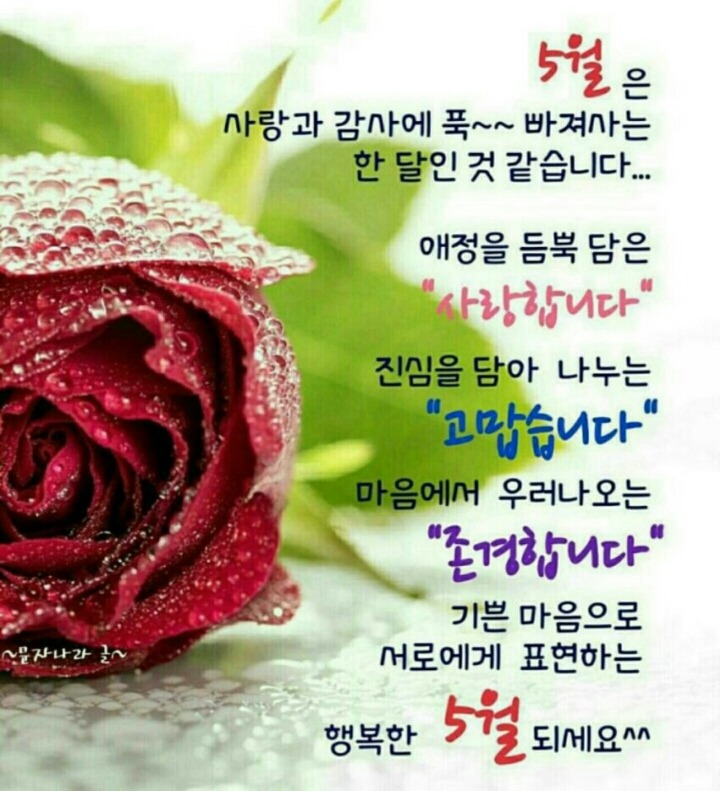 오월에 이미지