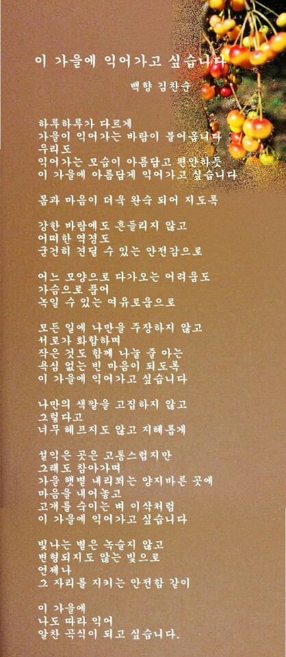 백향 이미지